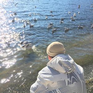 公车上拨开岳双腿进入电影
