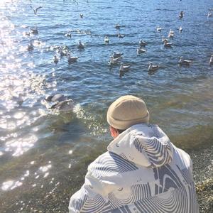 公车上拨开岳双腿进入电影
